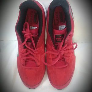 # 39 New Red Puma